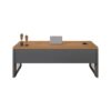 Minimalist Single Occupant Boss Desk - Maoters