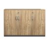 Office Furniture Panel File Storage Cabinet - Maoters - Maoters