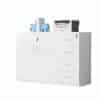 Office Low Cabinet with Lock - Secure File Storage - Maoters