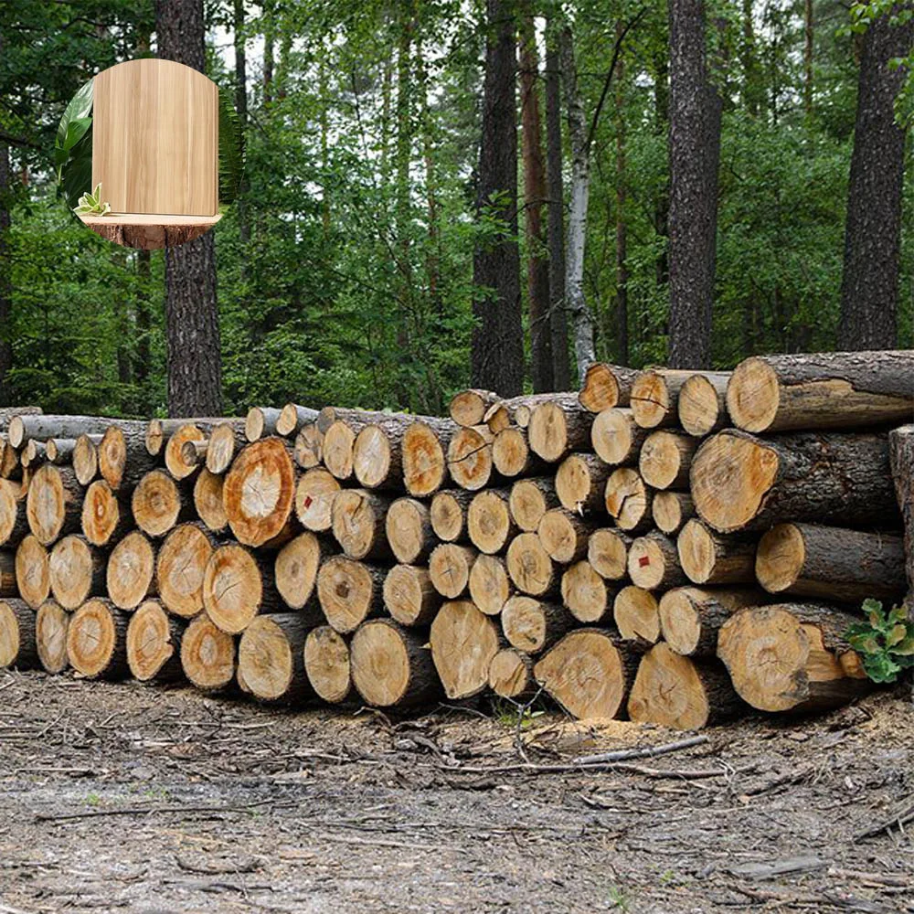Morden Simple White Conference Table