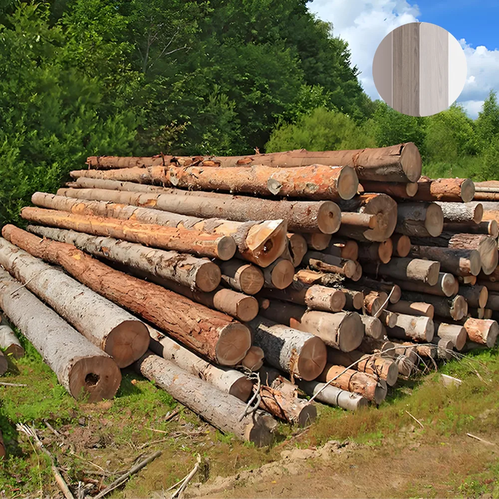 Modern Minimalist Conference Table