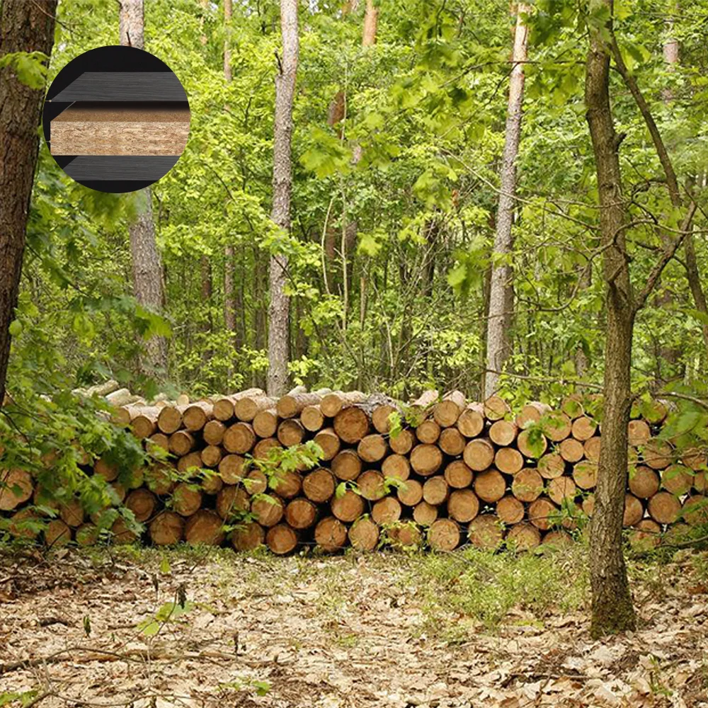 Modern Minimalist Long Conference Table
