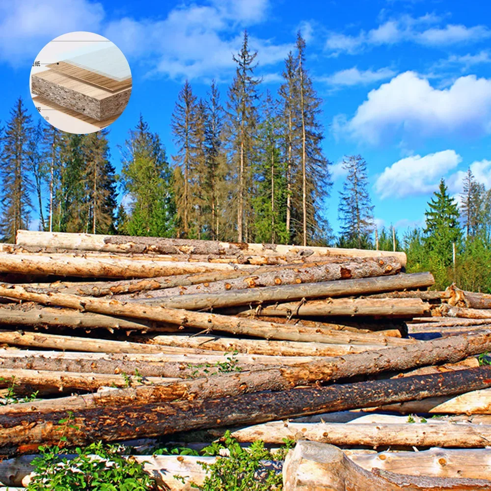 Modern White Lacquered Oval Conference Table - Maoters