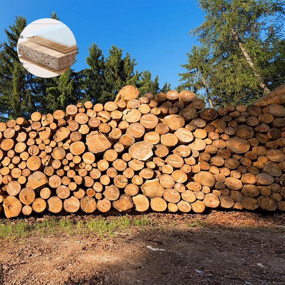 Modern Simple Solid Wood Long Conference Table - Maoters