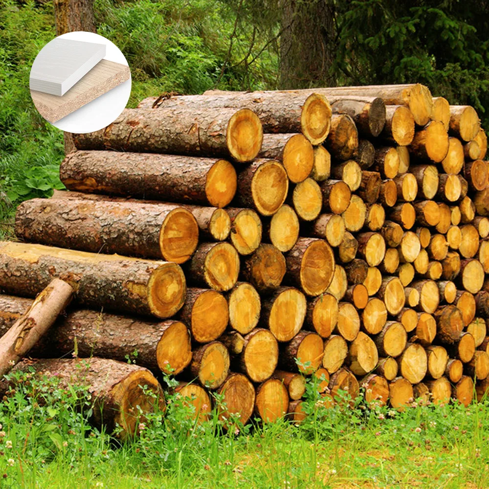 Modern Oval Solid Wood Conference Table - Stylish & Durable