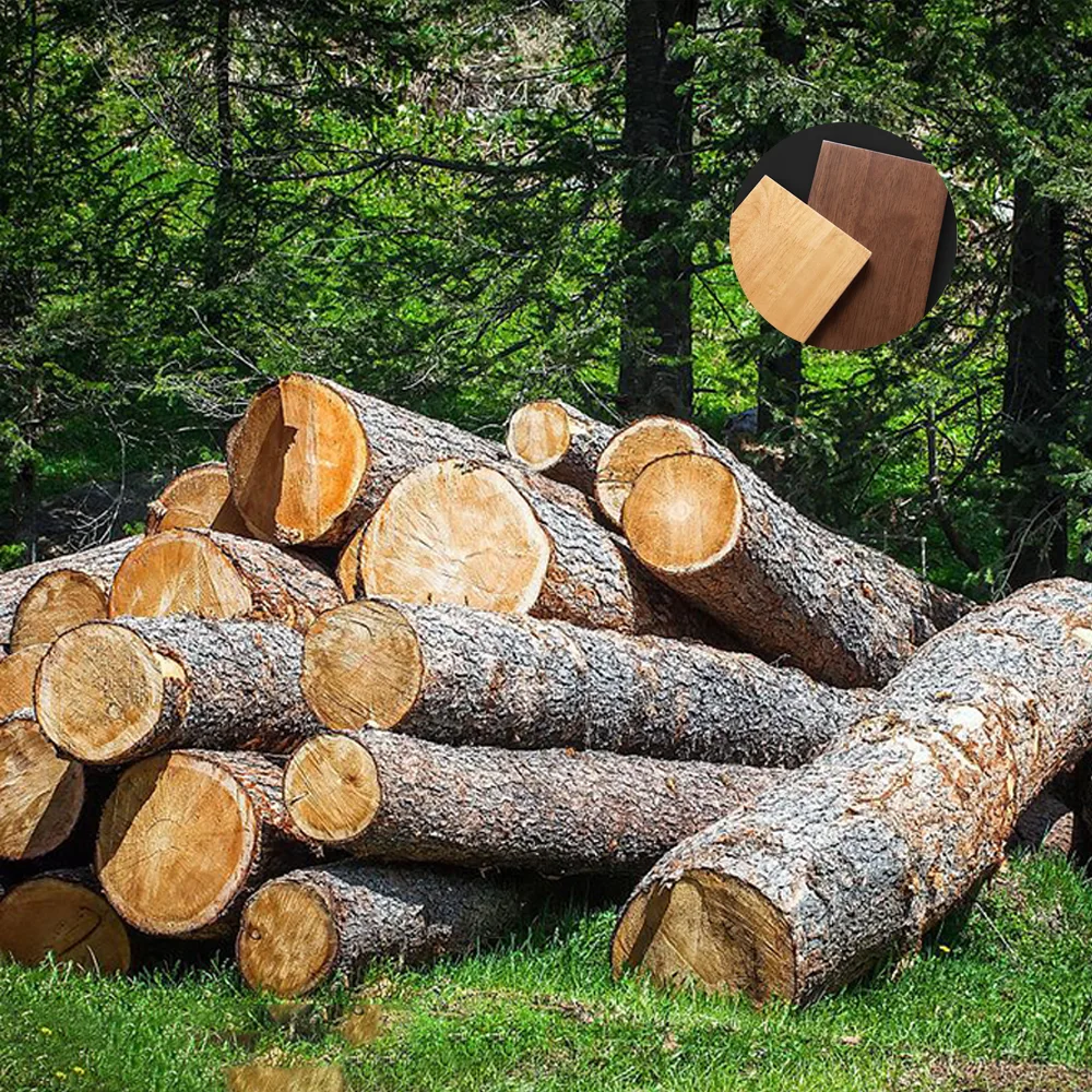 Modern Minimalist Solid Wood Conference Table