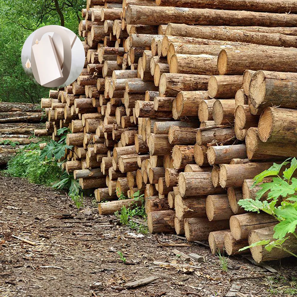 Elegant Gray Fabric Sofa for Office Lounge & Reception