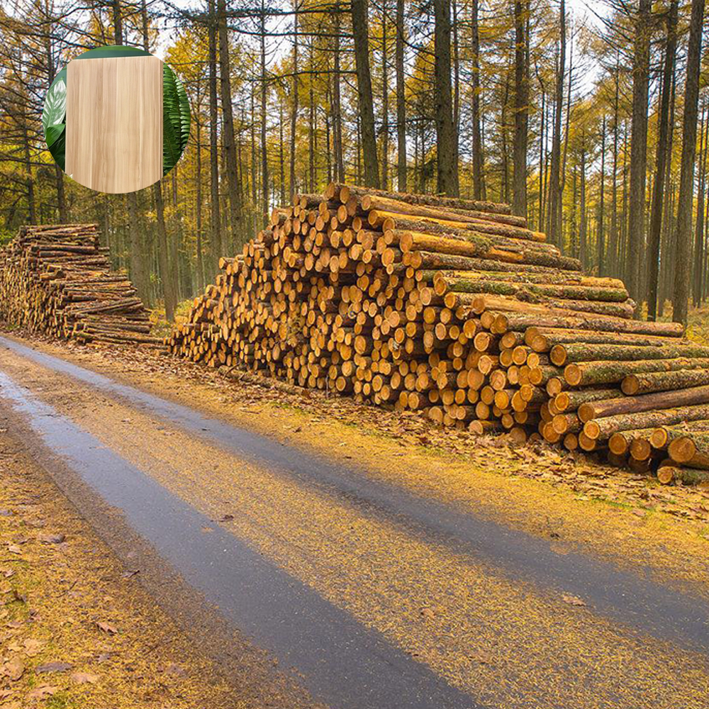 Nordic Simplicity Solid Wood Office Conference Table - Maoters