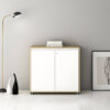 Secure Wooden Office Storage Cabinet with Lock - Maoters