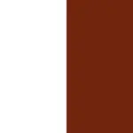 Modern Minimalist Reception Desk - White & Maple