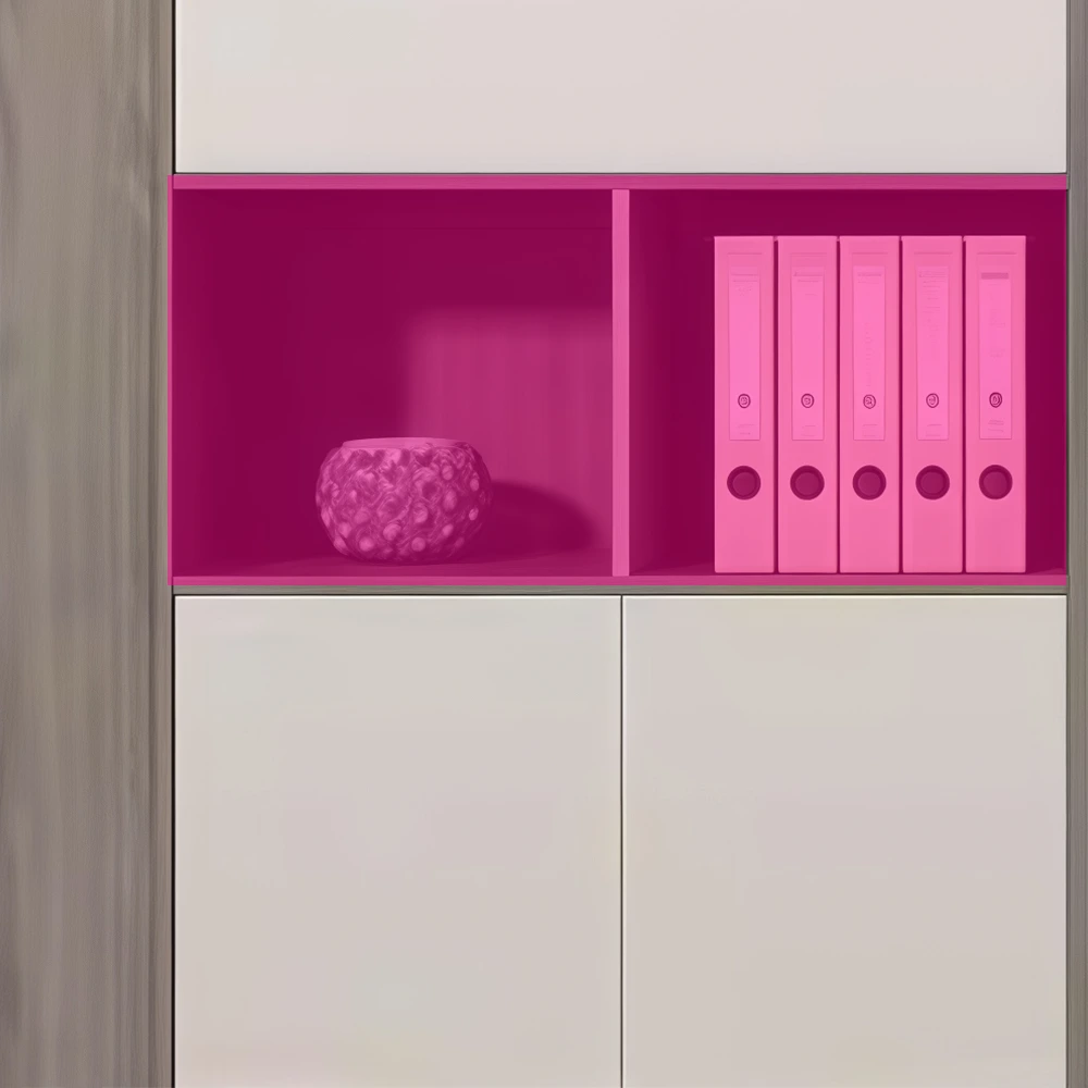 Elegant Wooden Panel Bookshelf & Office File Cabinet