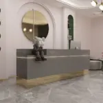 Modern and Stylish Small Reception Desk