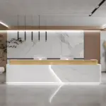 Simple Lacquer Reception Desk - Beauty & Bar