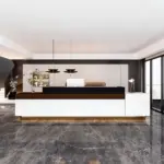 Multi-Use Reception Desks for Varied Businesses