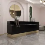 Modern and Stylish Small Reception Desk