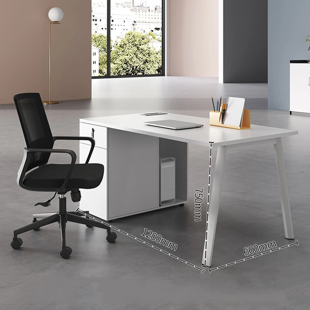 Simple Office Desk and Chair Combo Set
