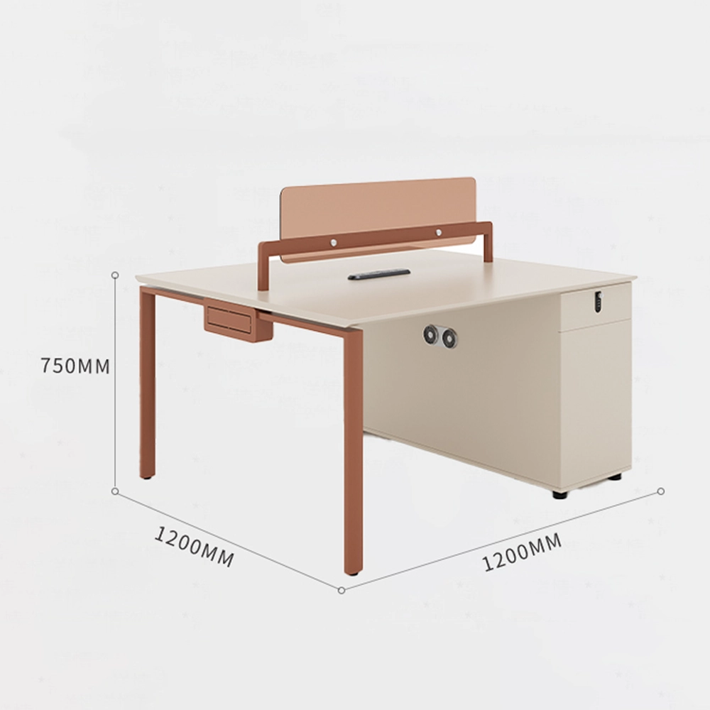 Modern Minimalist Multiple Position Desk - Maoters