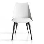 Minimalist Ergonomic Chair - Maoters