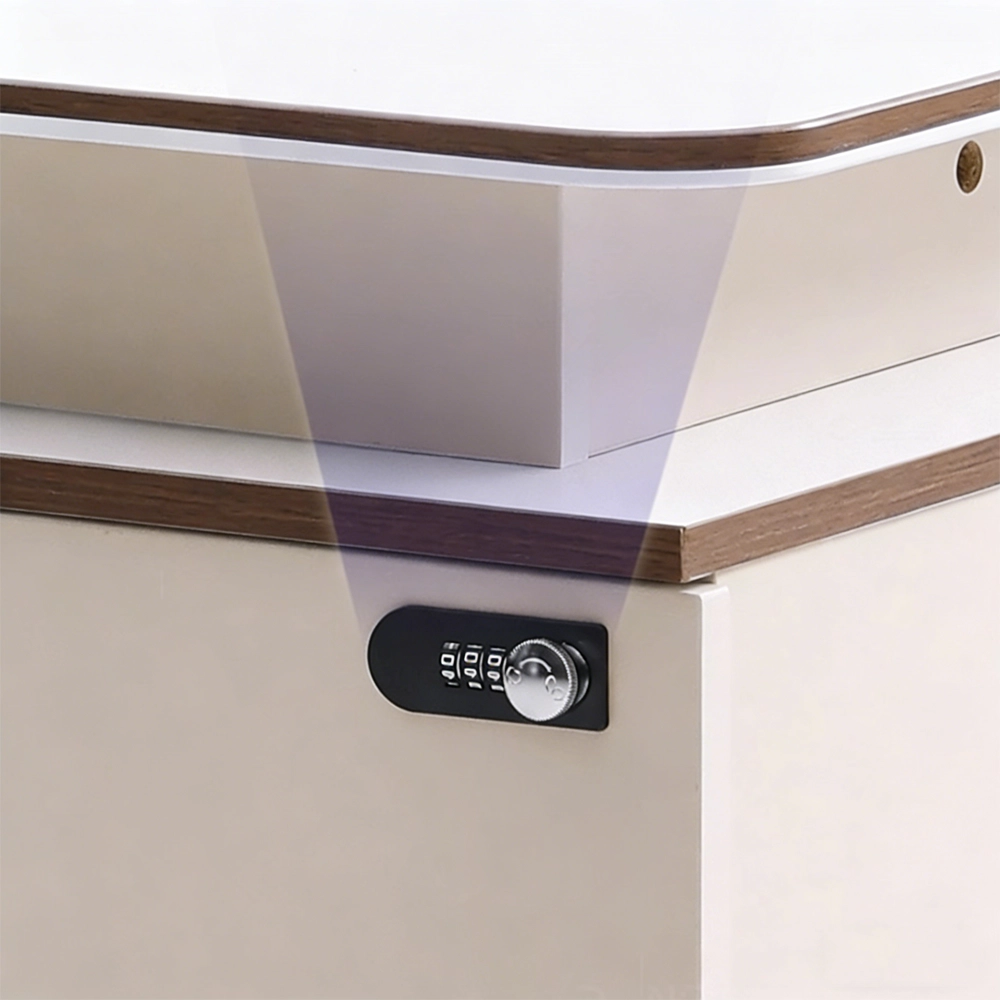 Modern Minimalist Staff Desk with Lock & Partition