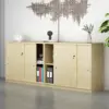 Office File Cabinet, Low Storage Cabinet - Maoters