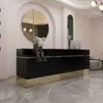 Modern And Stylish Small Reception Desk