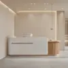 Modern Minimalist Reception Desk