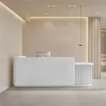 Modern Minimalist Reception Desk
