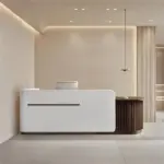 Modern Minimalist Reception Desk