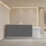 Modern Minimalist Reception Desk