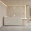 Modern Minimalist Reception Desk