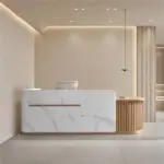 Modern Minimalist Reception Desk