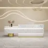 Professional Reception & Checkout Desks for