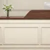 Professional Reception Desks for Boutiques & Beauty Salons Professional Reception Desks for Boutiques & Beauty Salons