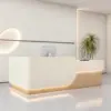 Salon Reception Desks
