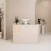 Front Desk Reception Counter for Cashier, Milk Tea & Nail Salons - Customizable Designs