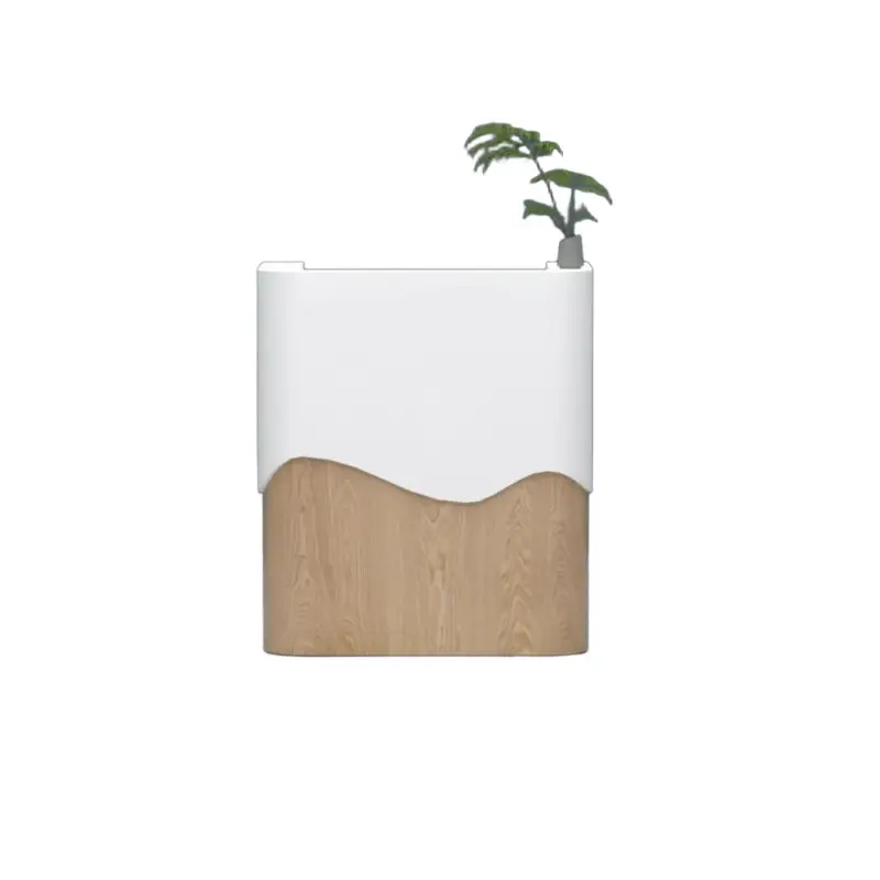 Small Reception Desk for Malls