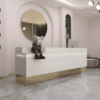 Modern and Stylish Small Reception Desk