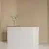 Simple Modern Store Small Lacquered Reception Desk