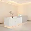 Modern minimalist reception and checkout counter