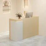 Modern Reception & Cashier Counters