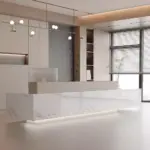 Minimalist Modern Corporate Reception Desk